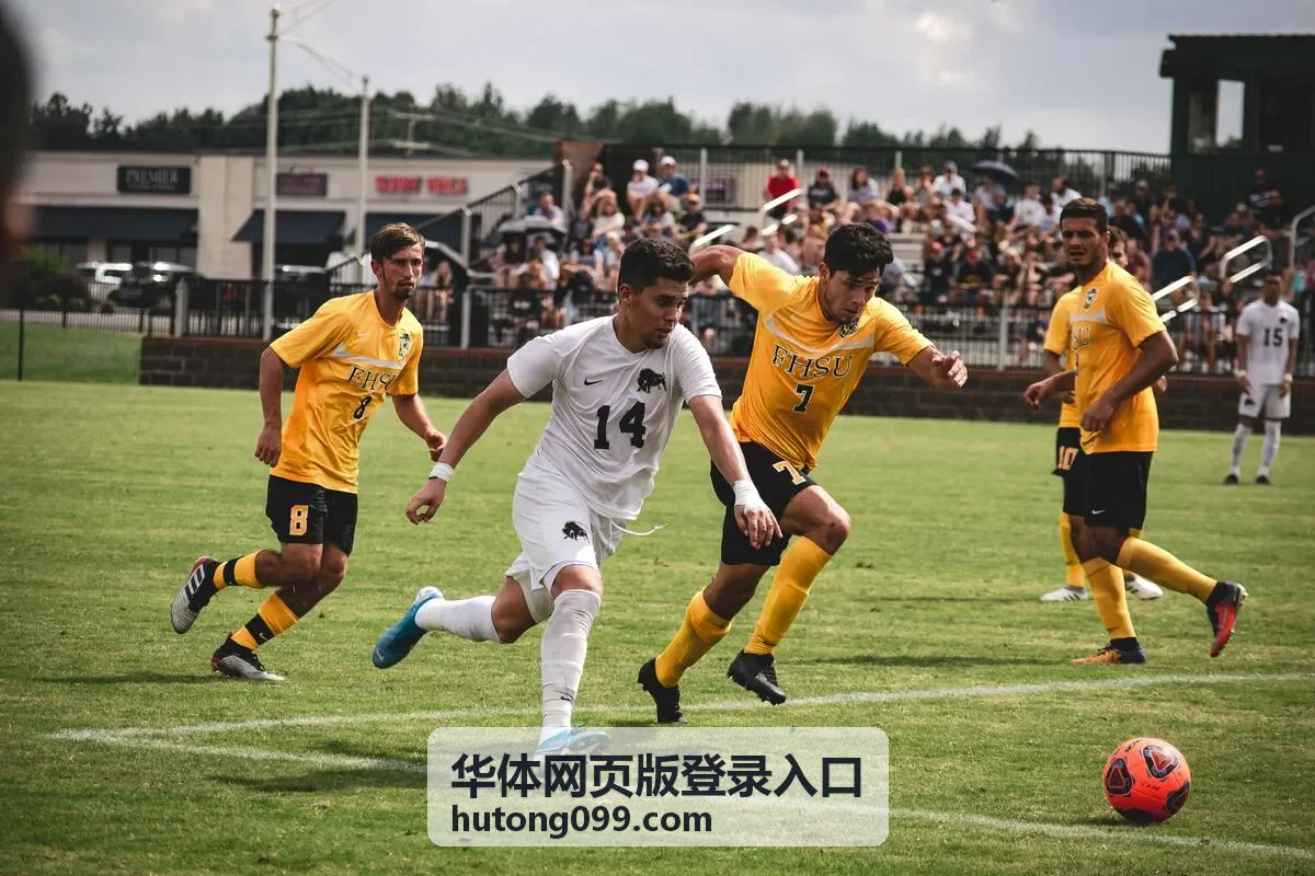 华体网页版登录入口场馆服务与登录场景示意